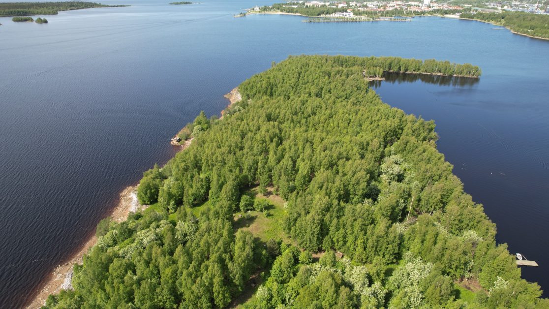 Ilmakuva vehreästä, tiheän metsän peittämästä saaresta. Taustalla näkyy kaupunki rakennuksineen ja laitureineen veden äärellä