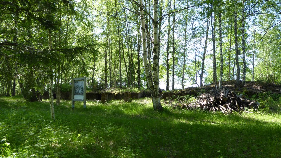 Metsäinen polku infotaulun ja risukasan ja raunion äärellä, koivujen ja auringonvalon ympäröimänä