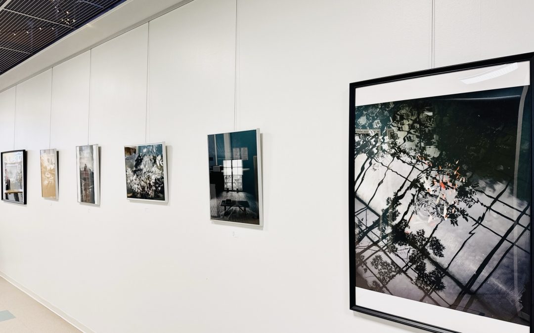 Kuvataiteen opiskelijoiden näyttelyitä keväällä 2026