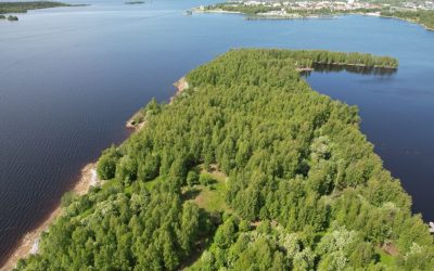 Virtuaalikierros Laitakarin saarelle – historiaa, luontoa ja elämyksiä uudella tavalla 